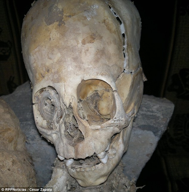 The unidentified creature has a strangely shaped skull nearly as large as its 20-inch-tall body